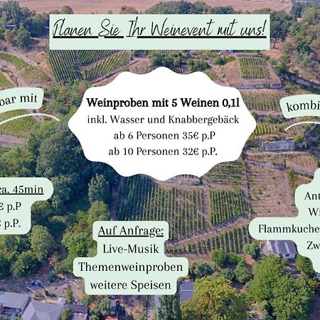 Ferienhaus Traminer im Weinberg Freyburg  Exterior foto