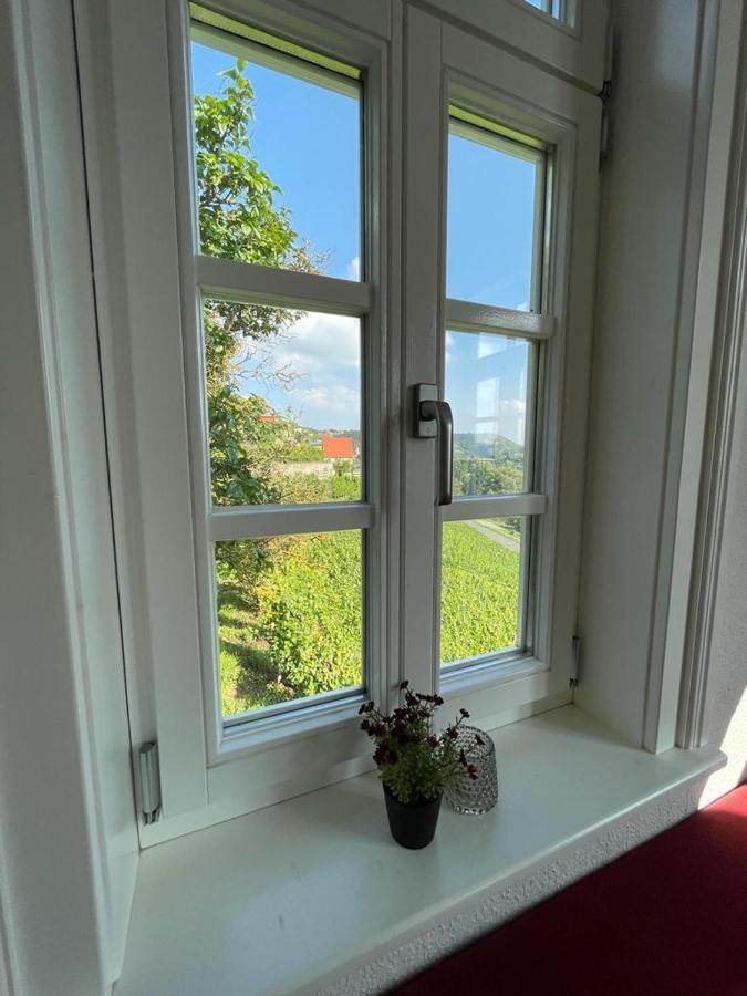 Ferienhaus Traminer im Weinberg Freyburg  Exterior foto
