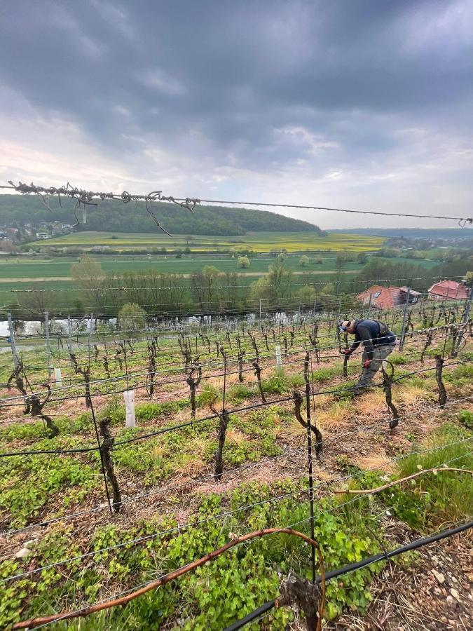 Ferienhaus Traminer im Weinberg Freyburg  Exterior foto