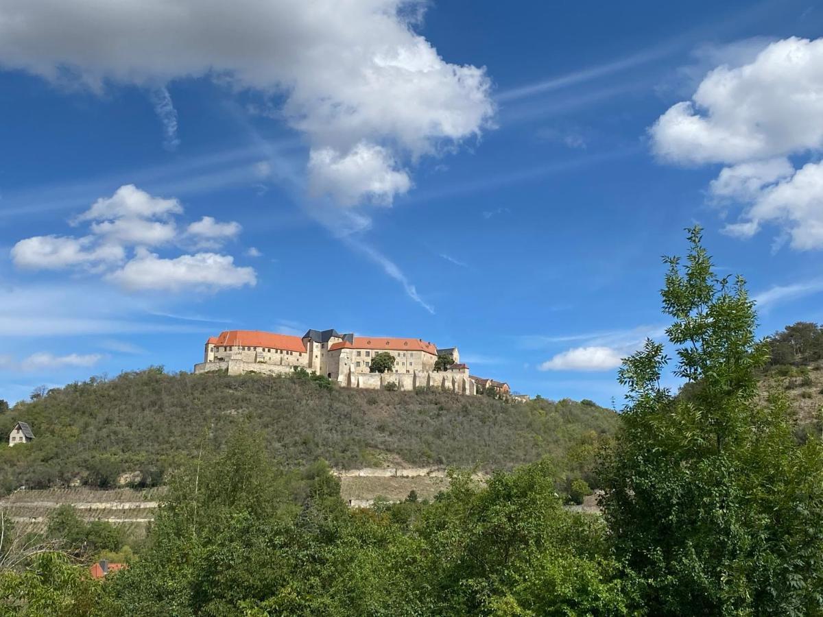 Ferienhaus Traminer im Weinberg Freyburg  Exterior foto