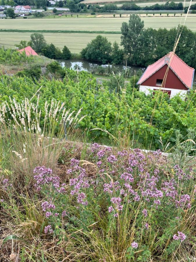 Ferienhaus Traminer im Weinberg Freyburg  Exterior foto