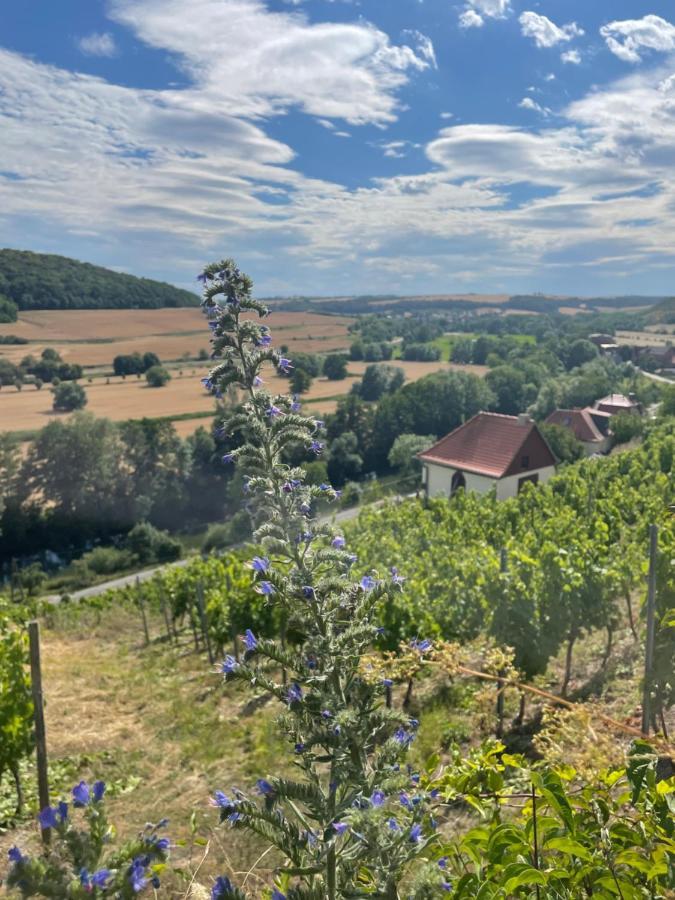 Ferienhaus Traminer im Weinberg Freyburg  Exterior foto
