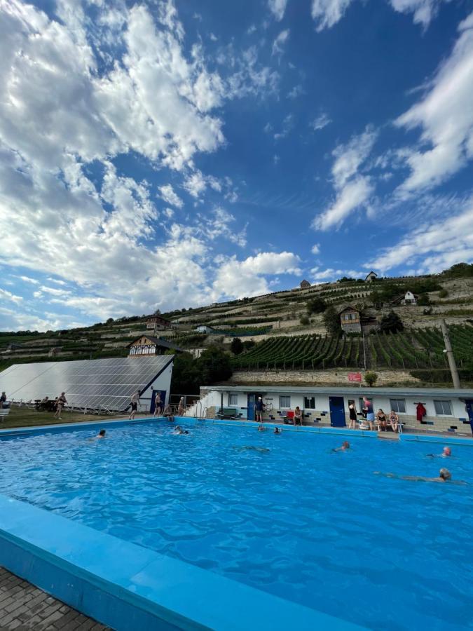 Ferienhaus Traminer im Weinberg Freyburg  Exterior foto